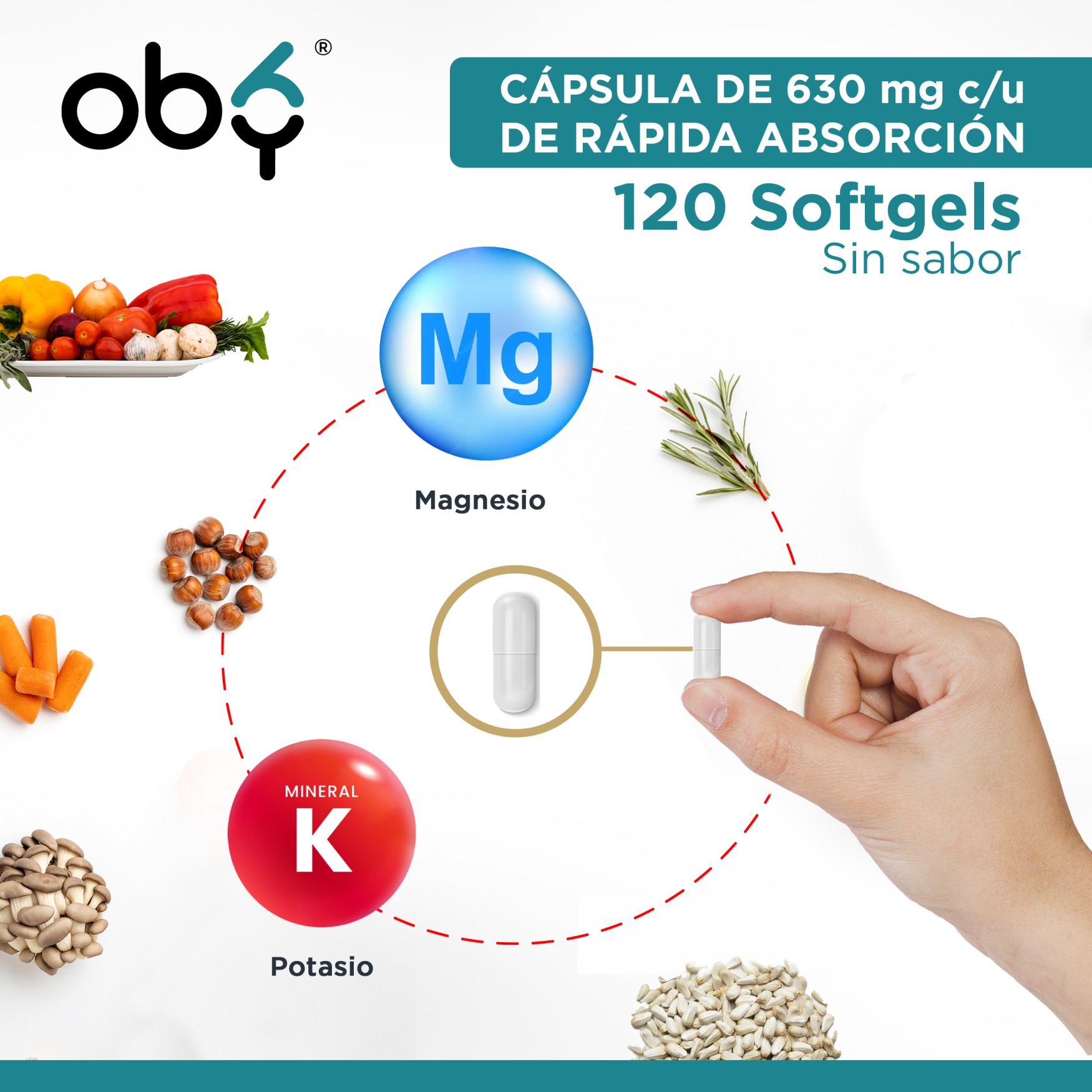 OBY MAGNESIUM CITRATE | Citrato de Magnesio y Citrato De Potasio - 120 Cápsulas para hasta 4 meses | Combinación de Ingredientes Naturales Citrato de Magnesio y Potasio capsulas