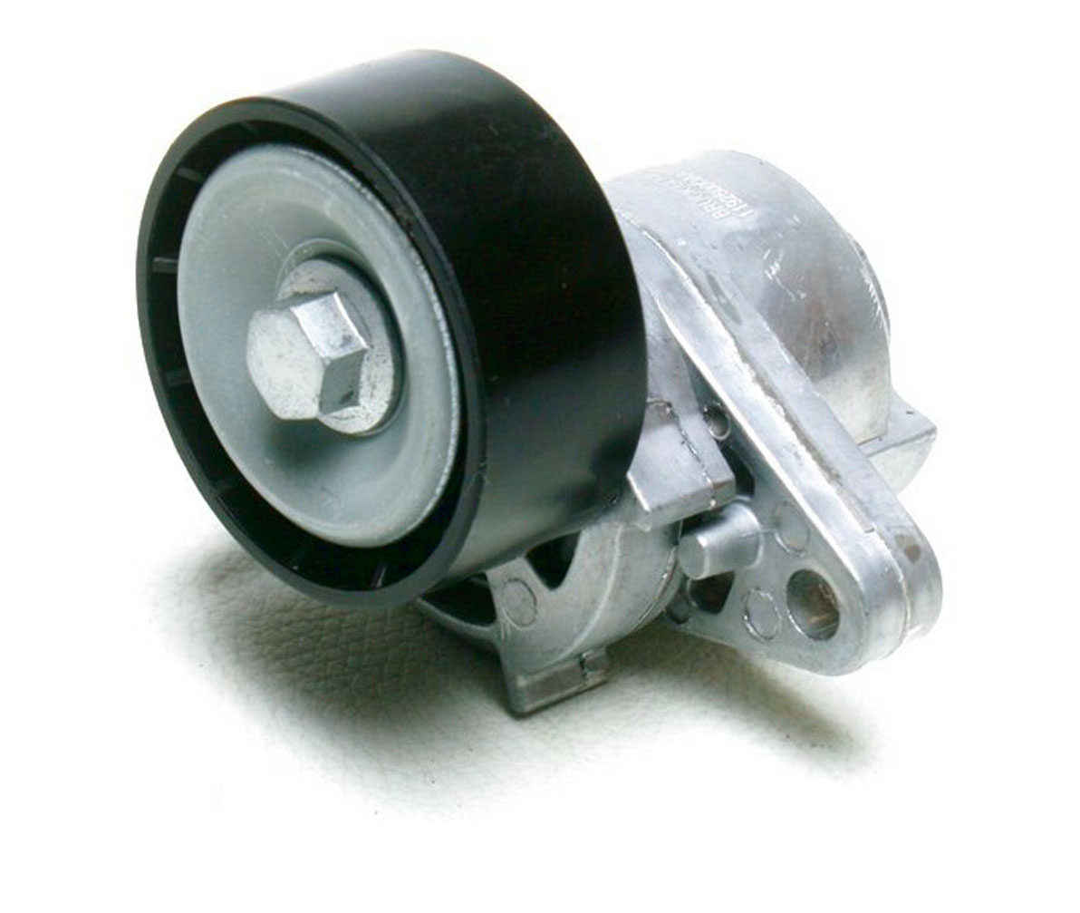 Polea Tensora Platina Clio 02 03 04 05 06 07 08 09 Completa