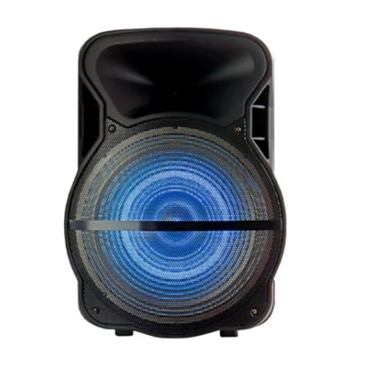 Bocina Grande 15 Pulgadas Control Micrófono Karaoke Luz Led