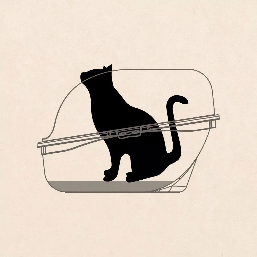 Arenero Para Gato Cubierto Grande Con Pala Gran Calidad