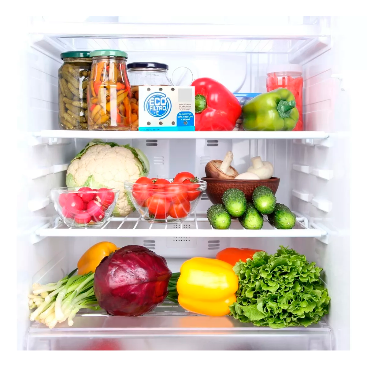 Desodorante Para Refrigerador Ecofiltro + E