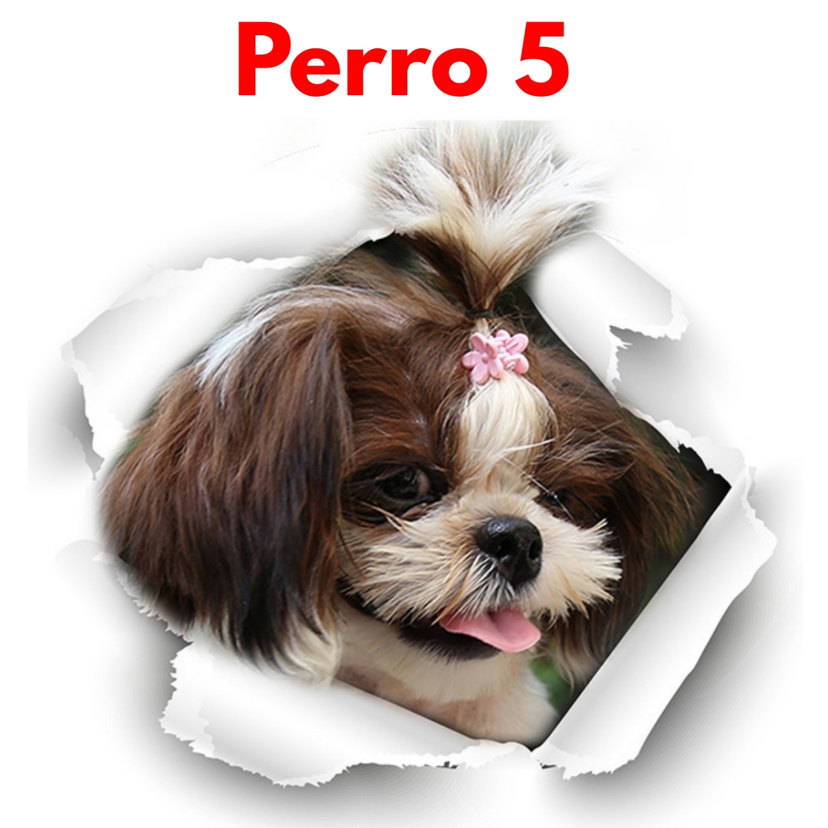 Stikers De Perros Divertidos Para Hogar Y Vehículos