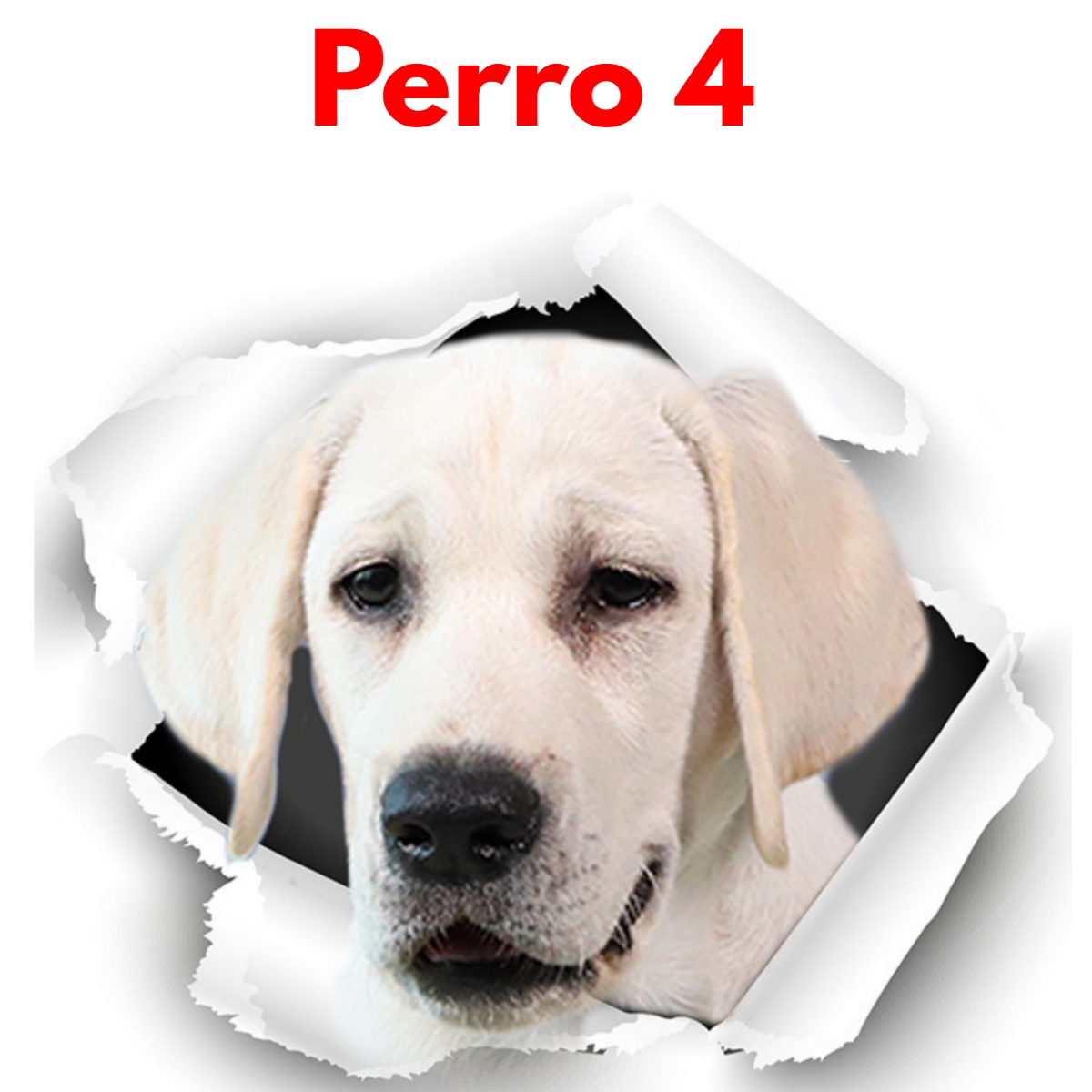 Stikers De Perros Divertidos Para Hogar Y Vehículos