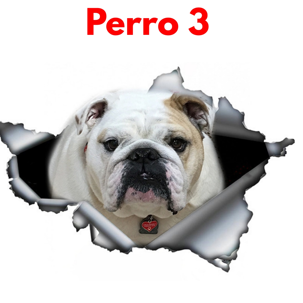 Stikers De Perros Divertidos Para Hogar Y Vehículos