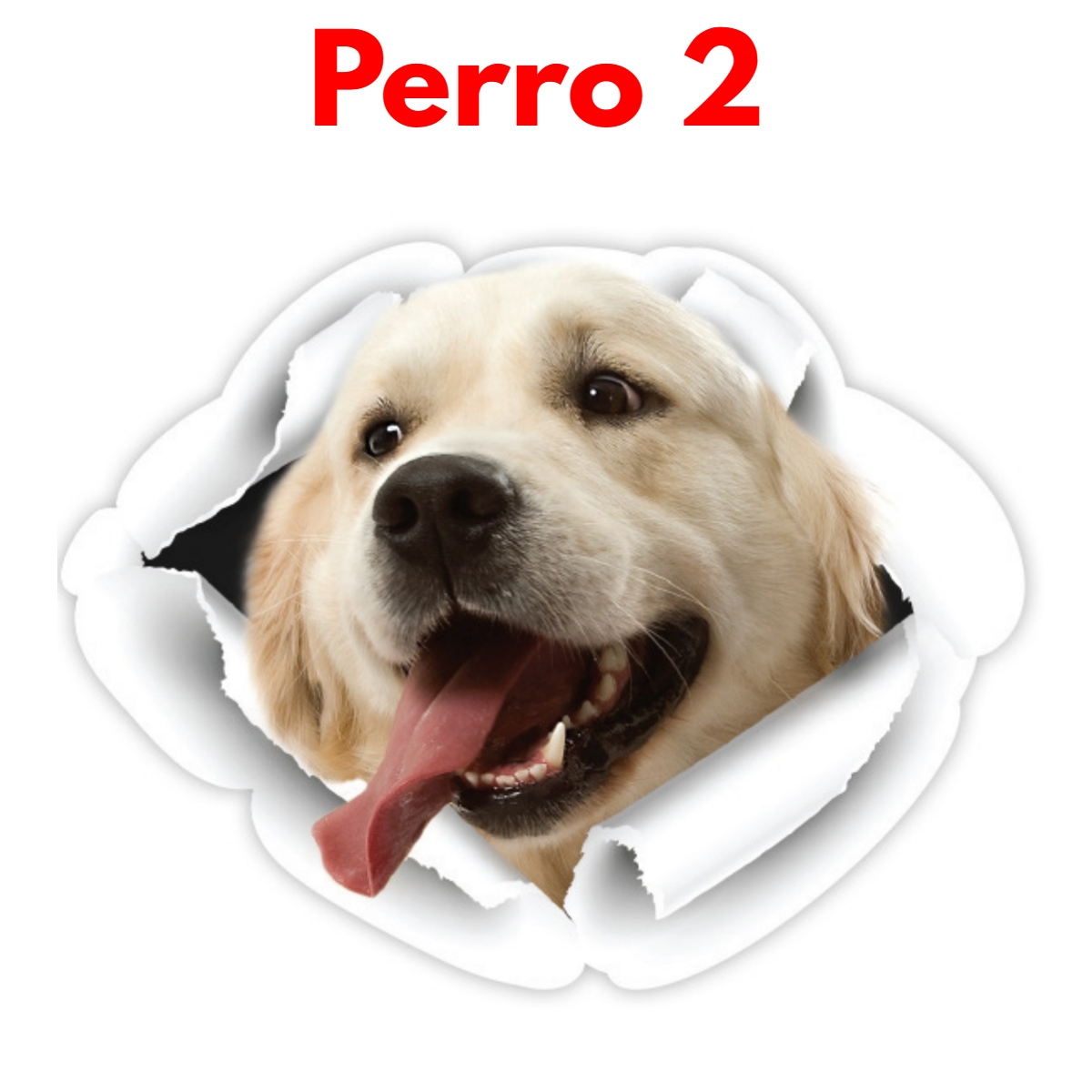 Stikers De Perros Divertidos Para Hogar Y Vehículos