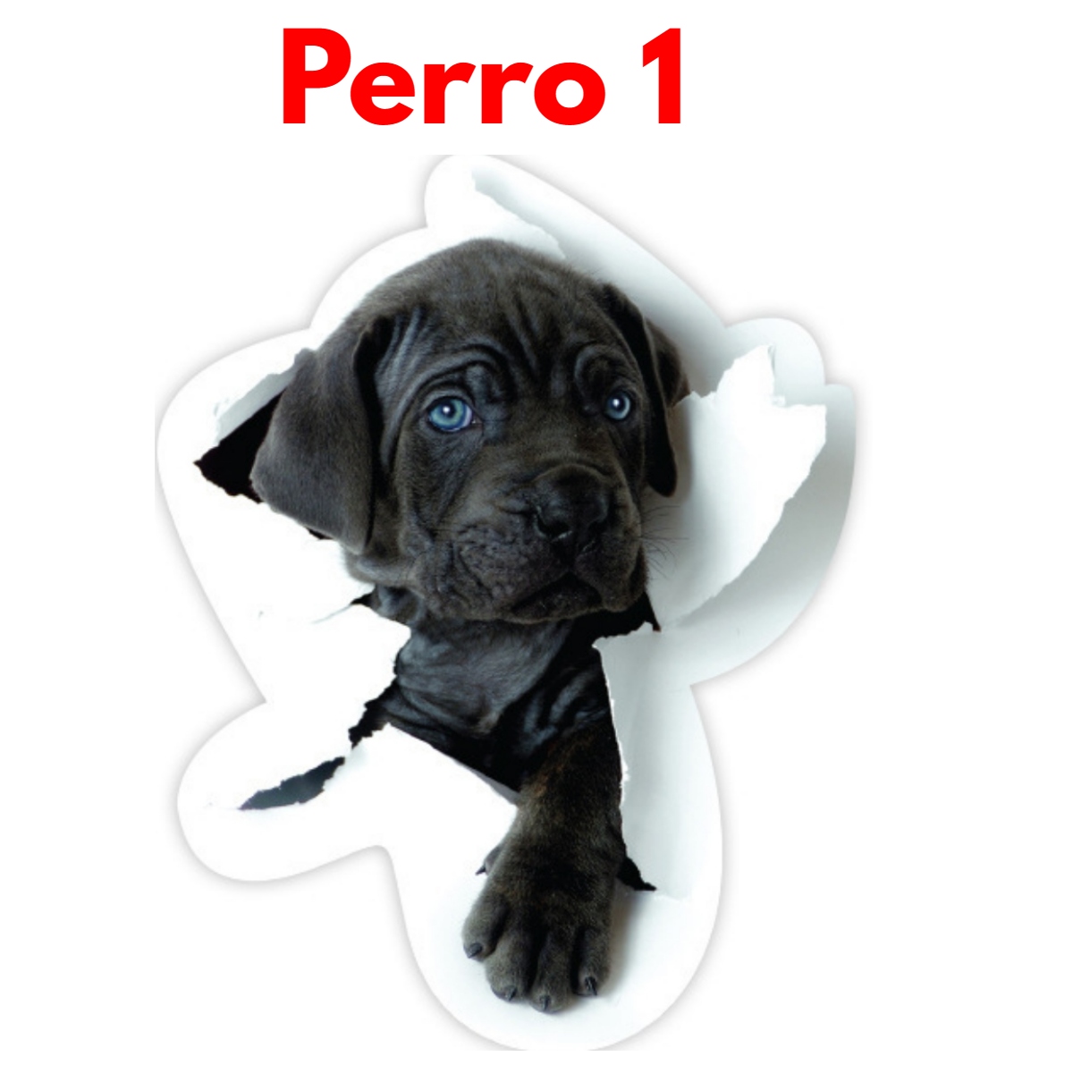 Stikers De Perros Divertidos Para Hogar Y Vehículos