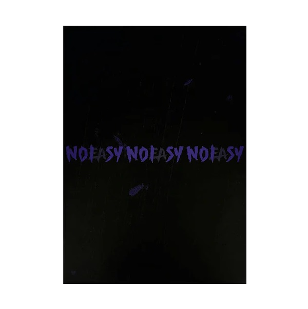 Stray Kids - NOEASY (B Type - Morado) Album Vol. 2 KPOP
