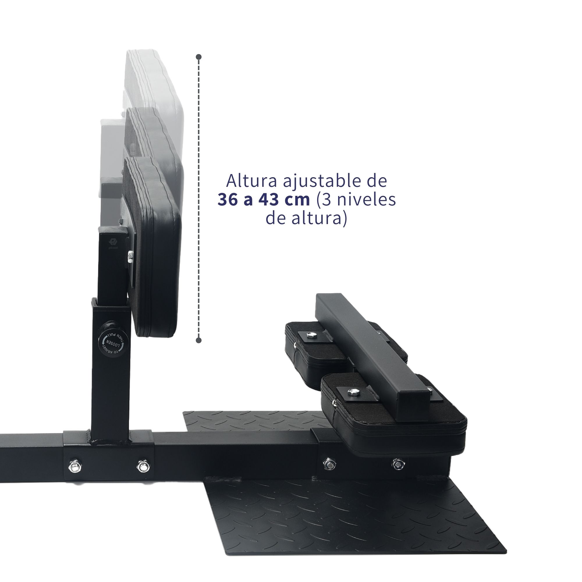 Banco De Sentadillas Profesional Ajustable Silla Squads 91cm