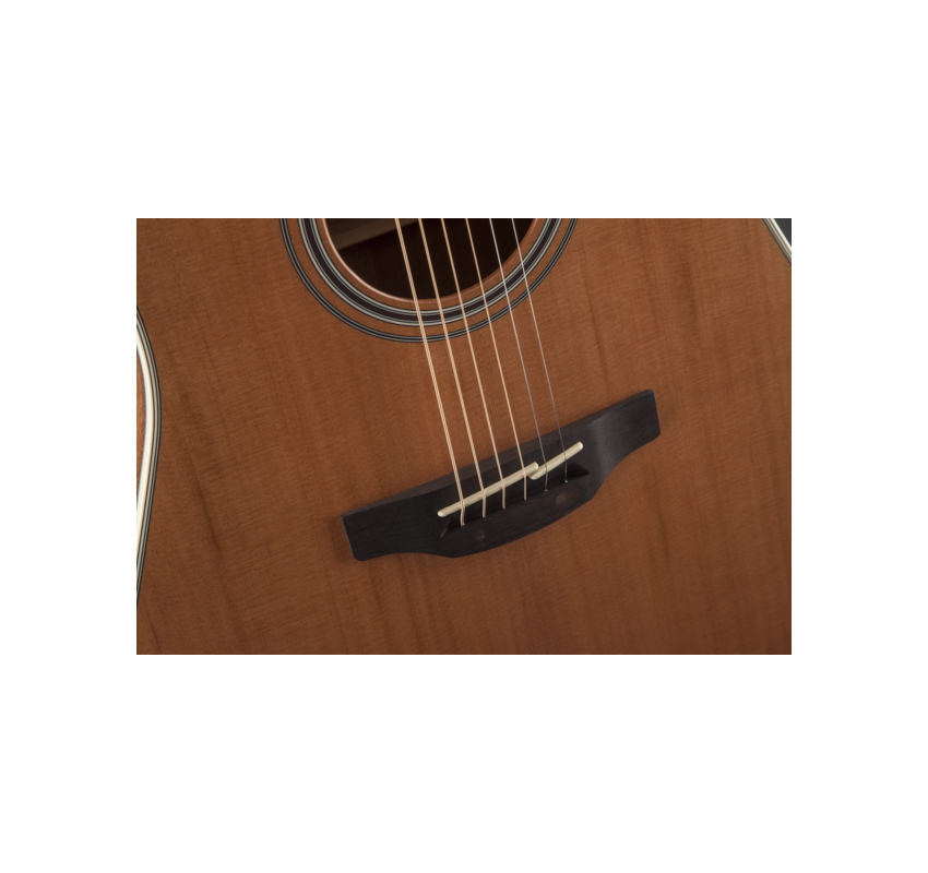 Guitarra Electroacústica Takamine GN20CE NS Color Natural 