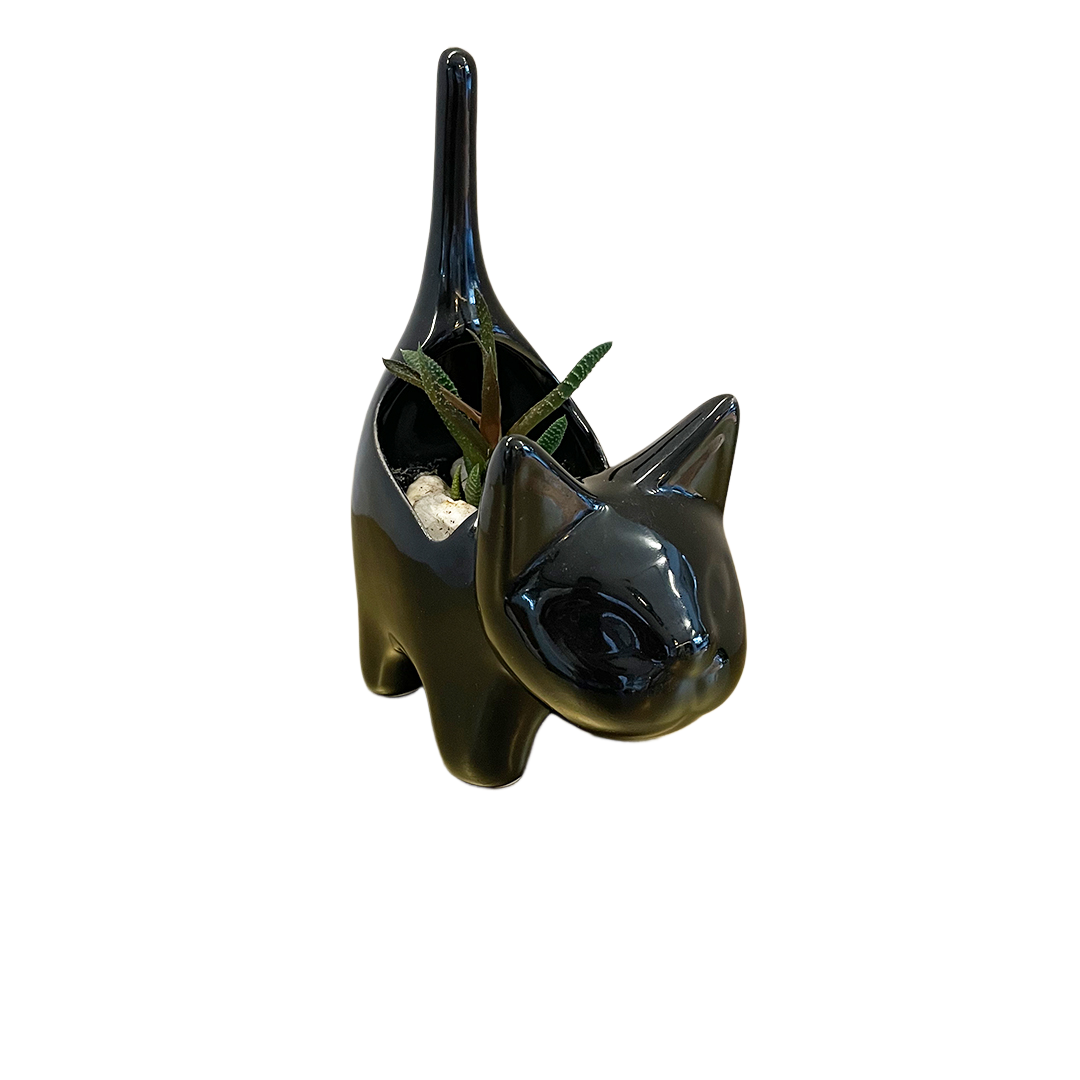 Maceta decorativa en forma de gato: encanto y estilo en color negro brillante.