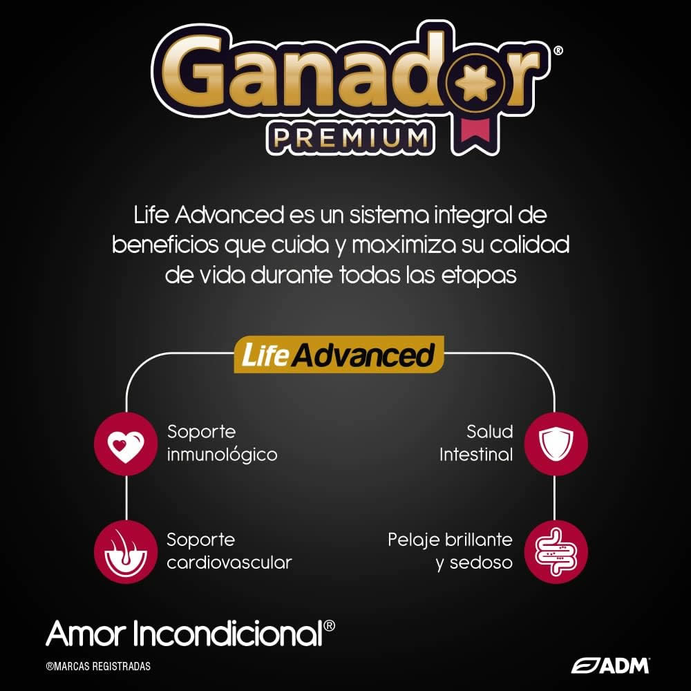 Alimento Para Perro Ganador Premium Razas Medianas Y Grandes De 21kg