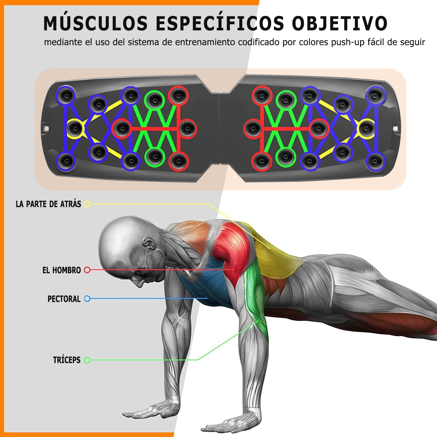 Tabla para lagartijas