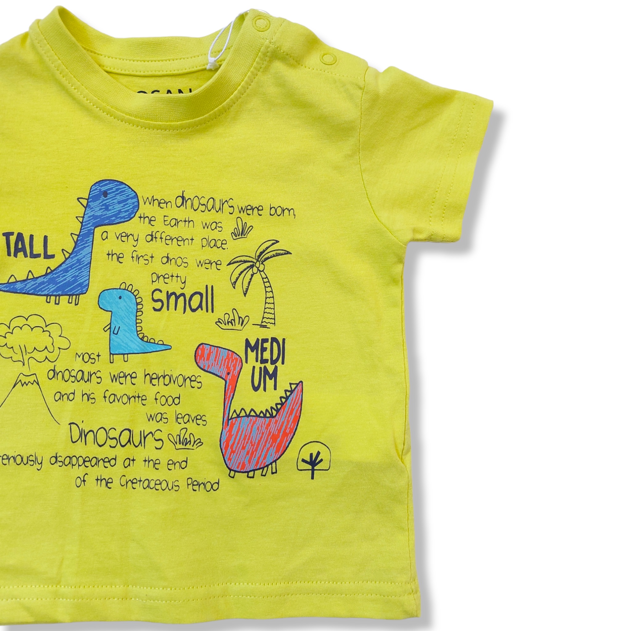 Playera verde dinosaurio TALL, SMALL, MEDIUM para bebé niño Losan.