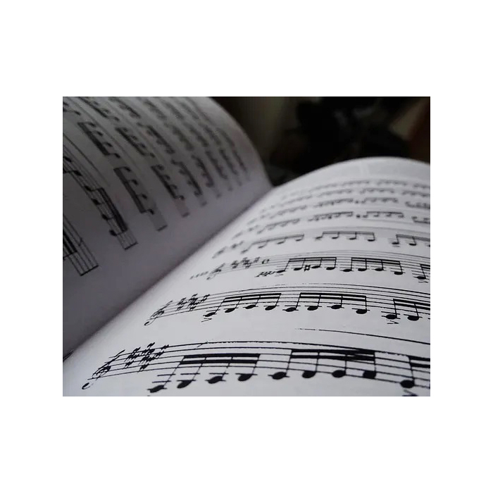 Método Solfeo de Los Solfeos Tomo 1 de Geronimo Baqueiro