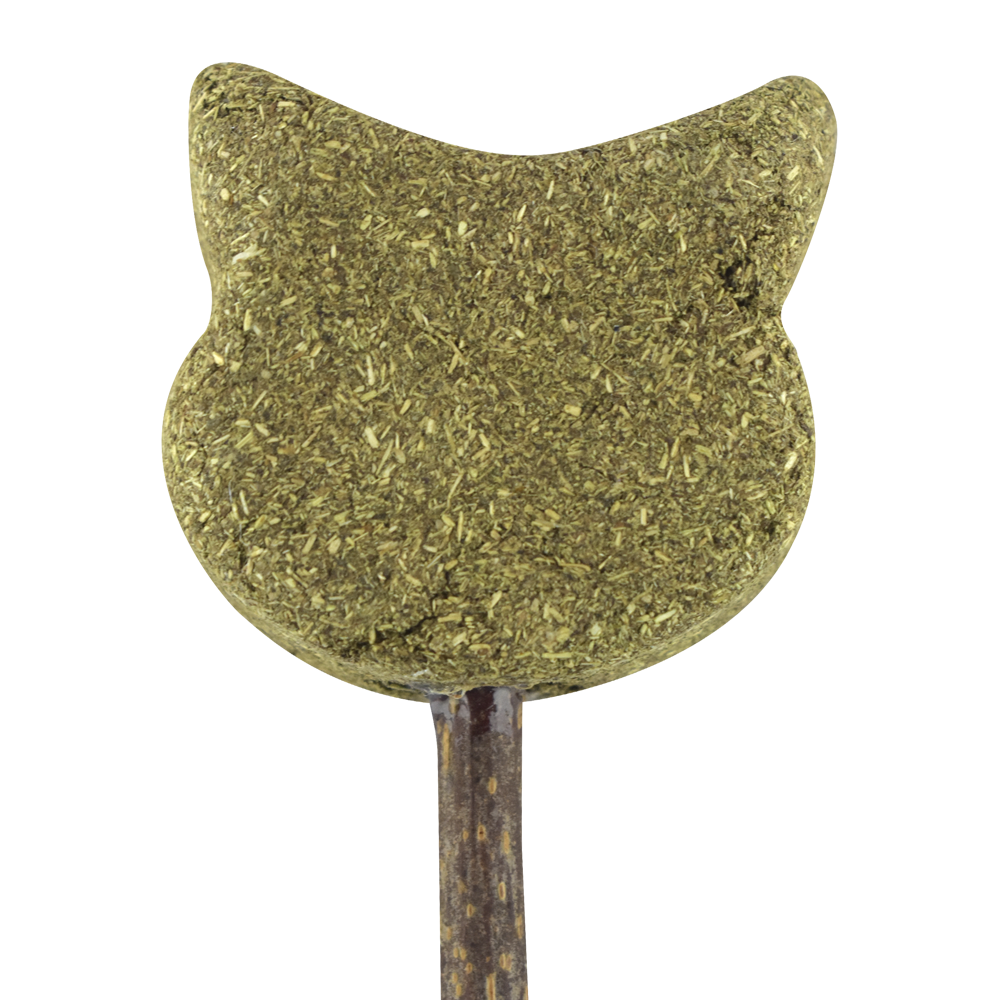 PALETA DE CATNIP GATO