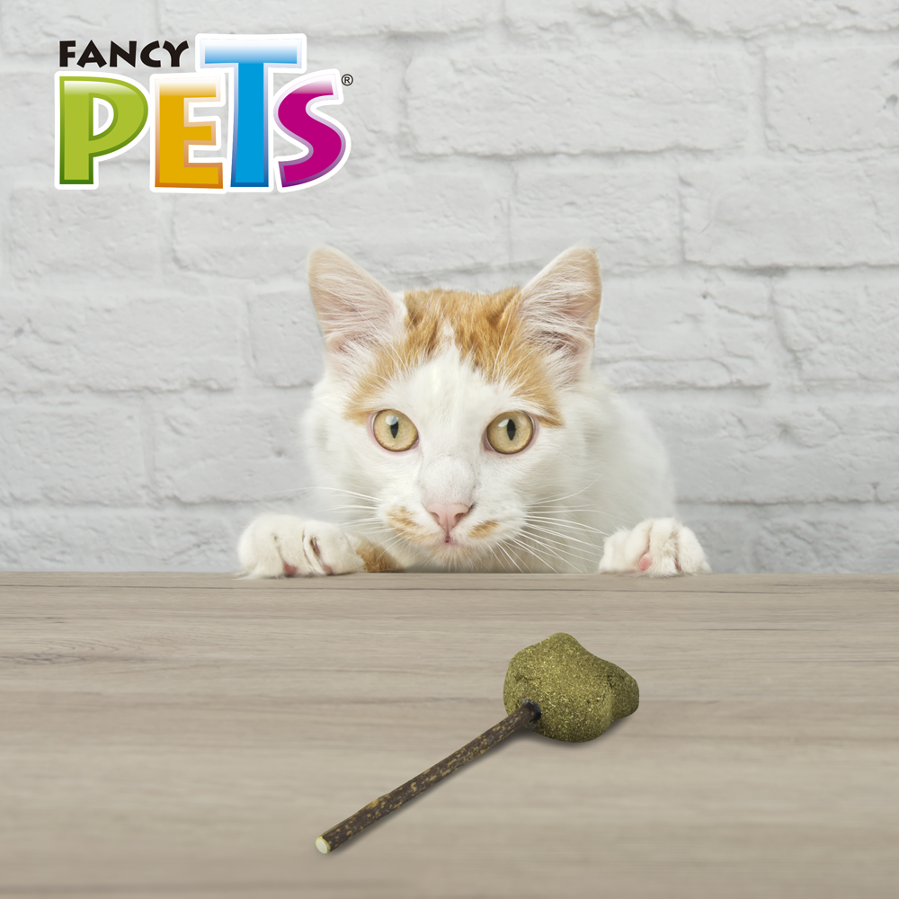 PALETA DE CATNIP GATO