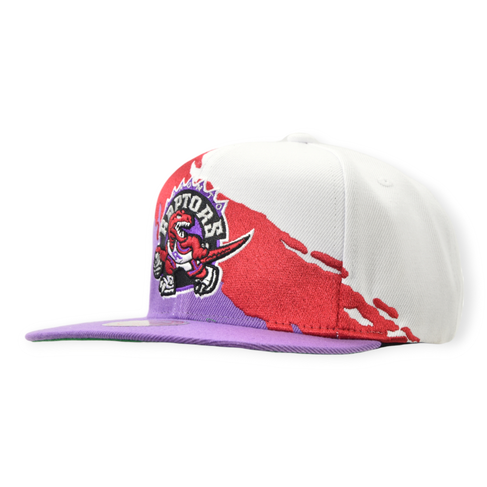 Gorra Toronto Raptors NBA Mitchell And Ness Paintbrush