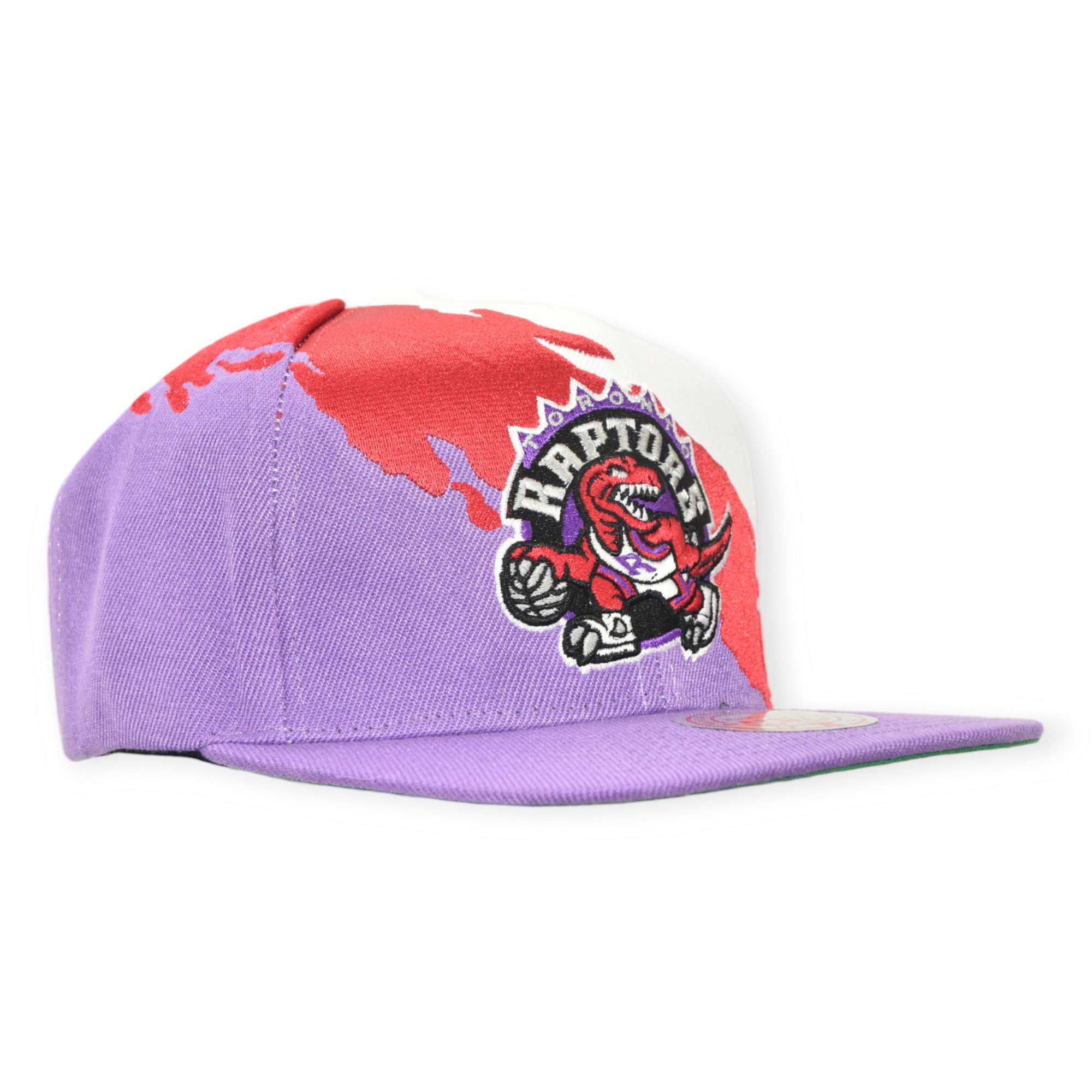 Gorra Toronto Raptors NBA Mitchell And Ness Paintbrush