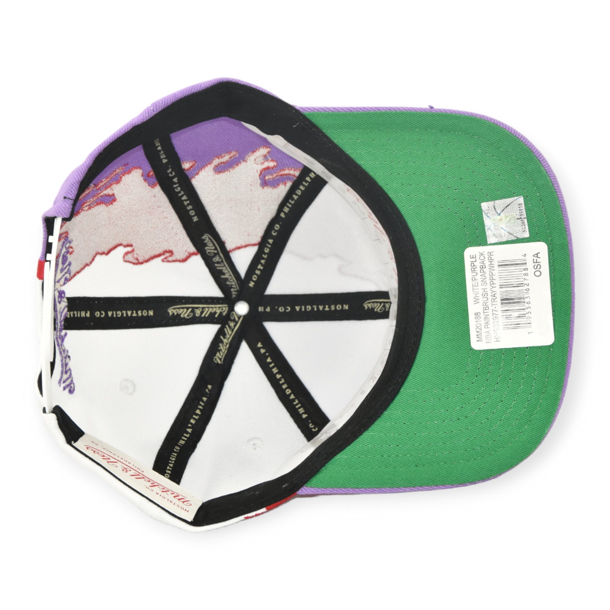 Gorra Toronto Raptors NBA Mitchell And Ness Paintbrush