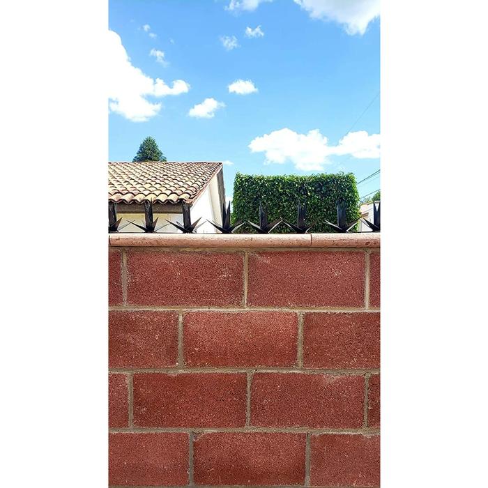Púas de Protección de Bardas MXPMB-001-2 1 Pza 1m 8 Picos 8 Puntas Forma de Maguey Acero Negro, MagueySafet