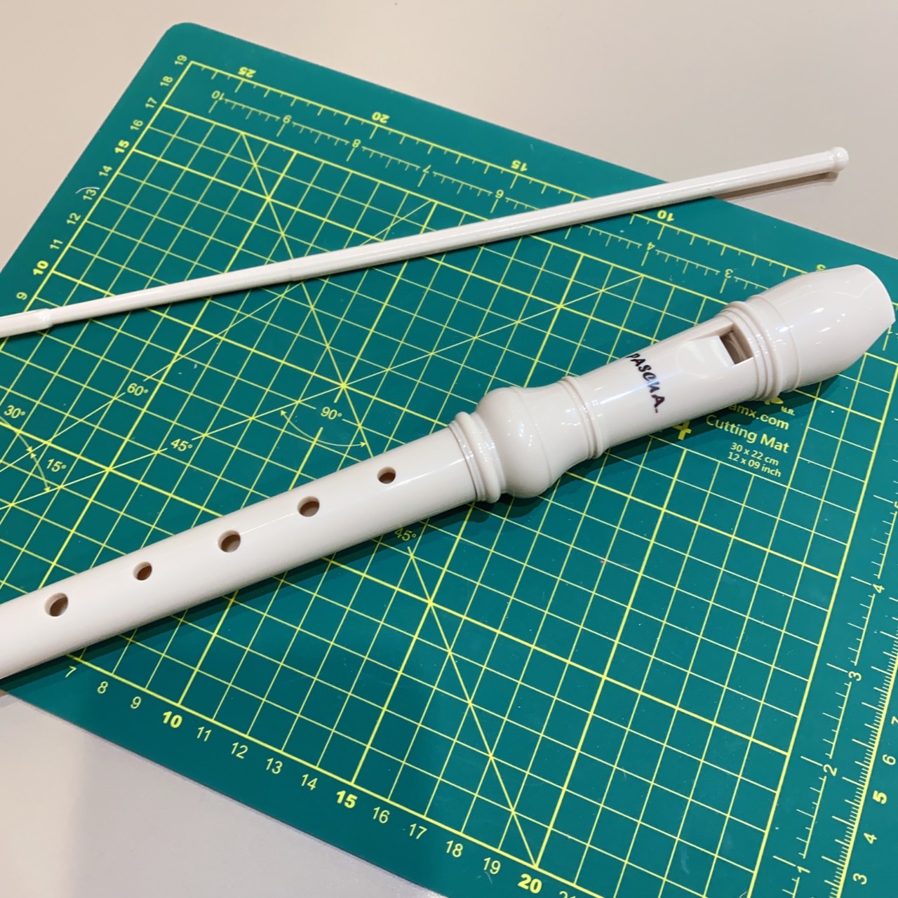 Flauta Dulce Soprano Flauta de Plástico Escolar para Principiantes para Niños de 8 Agujeros con Palo de Limpieza de Flauta y Manual de Instrucciones