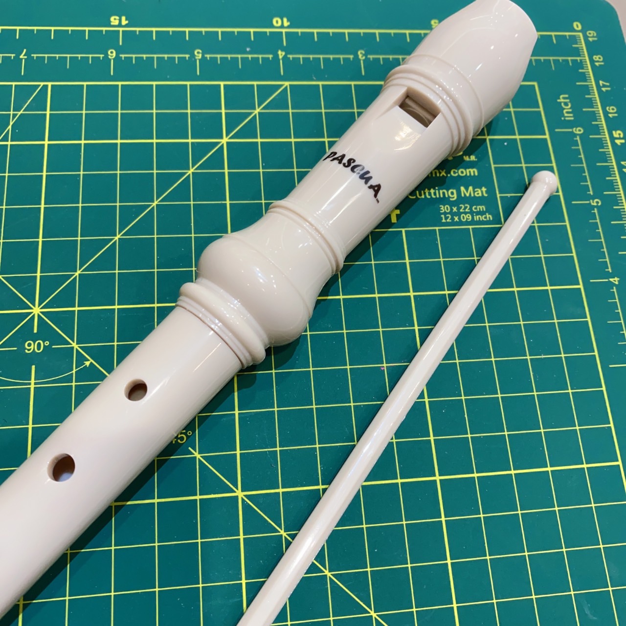 Flauta Dulce Soprano Flauta de Plástico Escolar para Principiantes para Niños de 8 Agujeros con Palo de Limpieza de Flauta y Manual de Instrucciones