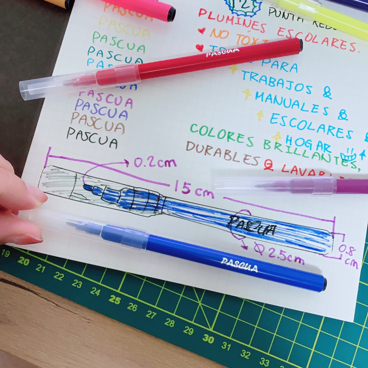 12 Plumines Escolares Para Trabajos Manuales Y Escolares