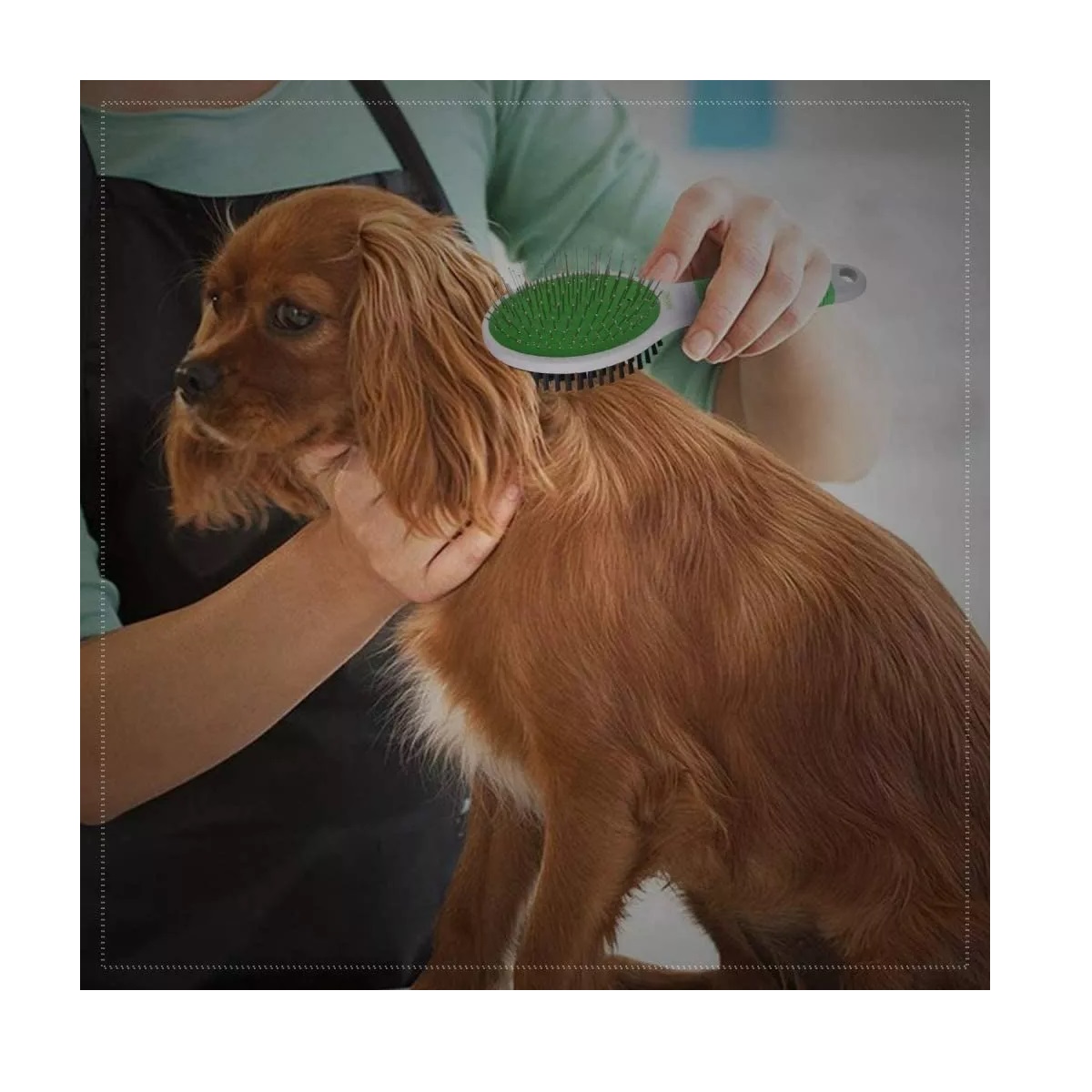 Cepillo Para Mascotas (Perro y Gato) Raza Pequeña De Cerdas Y Alfileres Marca Wahl.