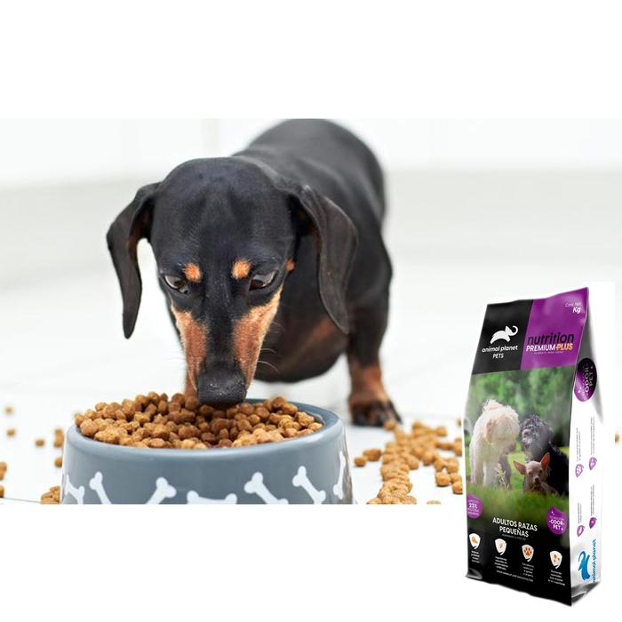 Croquetas para Perro Adulto Pequeño MXRPZ-001-4 2 Kg Croquetas Perro Adulto Raza Pequeña, Animal Planet Nutrition Adulto Razas Pequeñas