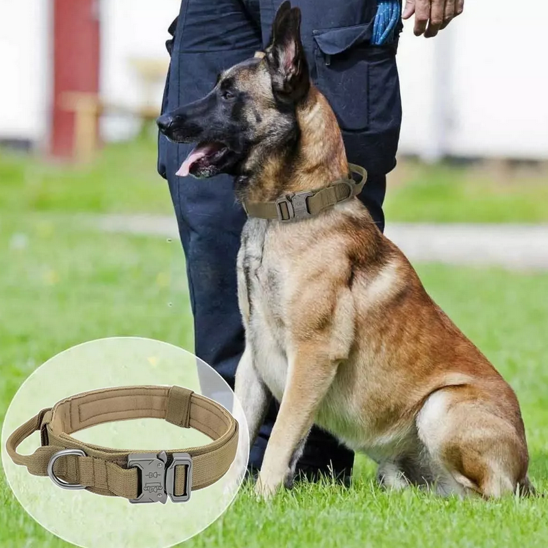 Collar Táctico Militar Para Perro Ajustable Ultra Resistente