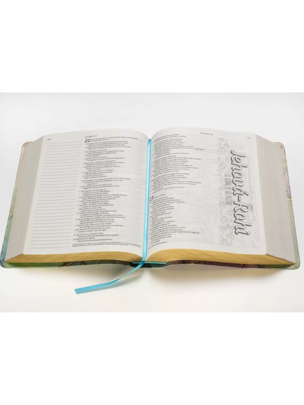 Biblia Ntv Inspira Oro