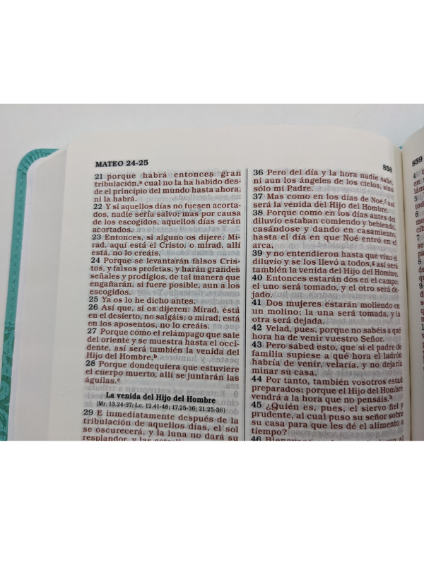 Rvr 1960 Biblia Para Regalos Y Premios, Azul Turquesa Símil