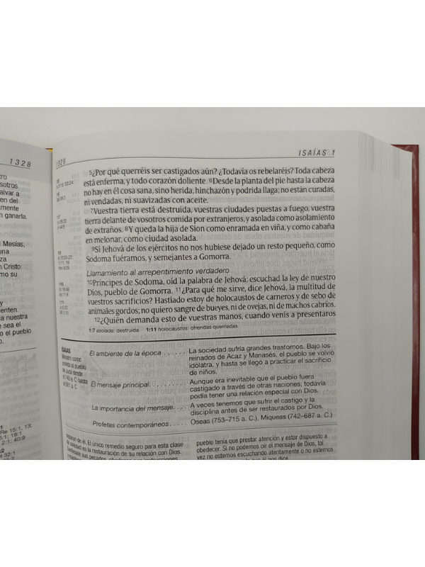Biblia RVR60 de estudio diario vivir letra grande tapa dura