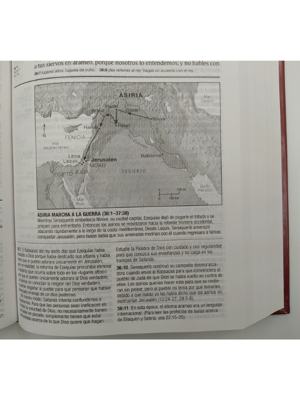 Biblia RVR60 de estudio diario vivir letra grande tapa dura