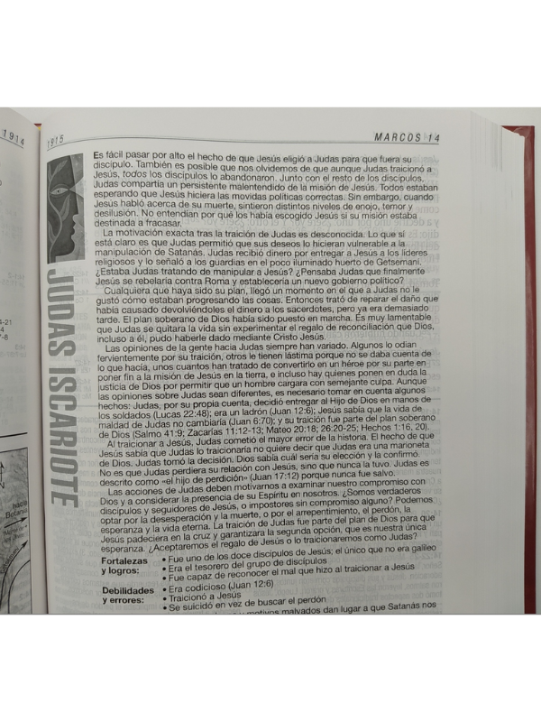 Biblia RVR60 de estudio diario vivir letra grande tapa dura