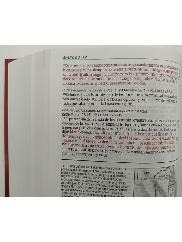 Biblia RVR60 de estudio diario vivir letra grande tapa dura