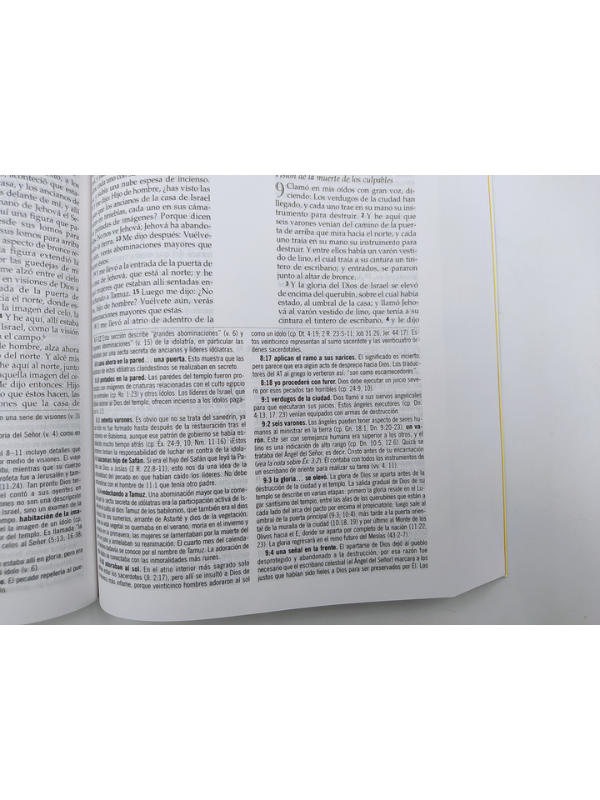 Biblia De Estudio Macarthur, Rvr1960 Tapa Dura