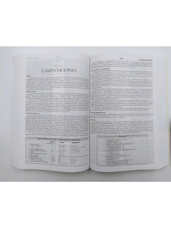 Biblia De Estudio Macarthur, Rvr1960 Tapa Dura