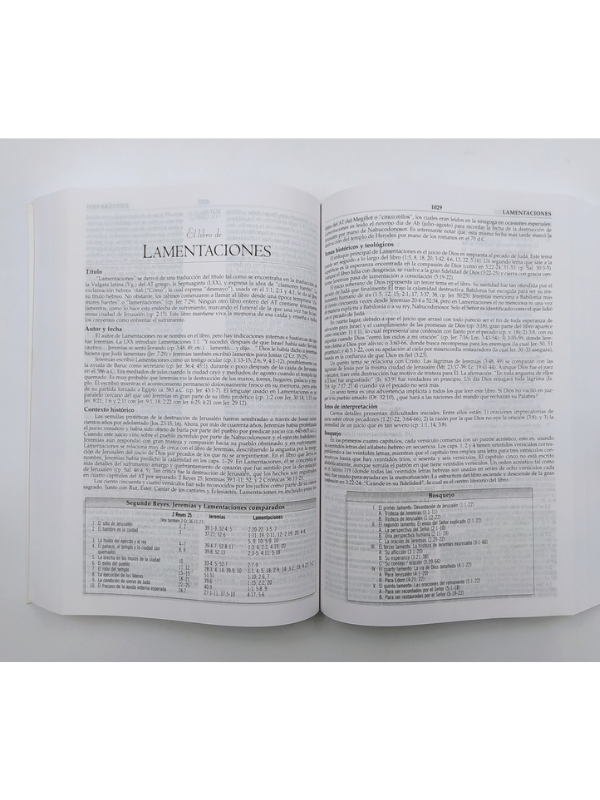 Biblia De Estudio Macarthur Tapa Rústica