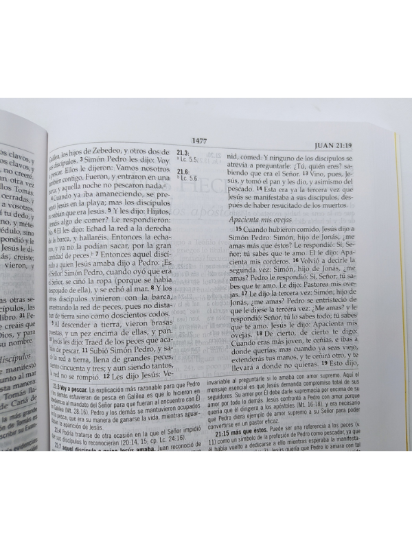 Biblia De Estudio Macarthur Tapa Rústica