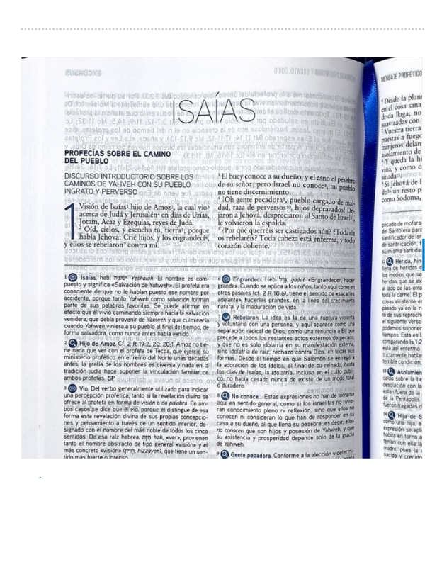 Biblia RVR De Estudio Del Mensaje Profético y Escatológico Tapa Dura