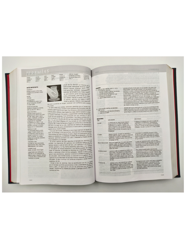 Biblia NTV De Estudio Del Diario Vivir Letra Grande Gris Tapa Dura Tela Diseño Árbol