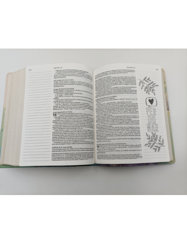 Biblia Ntv Inspira Oro