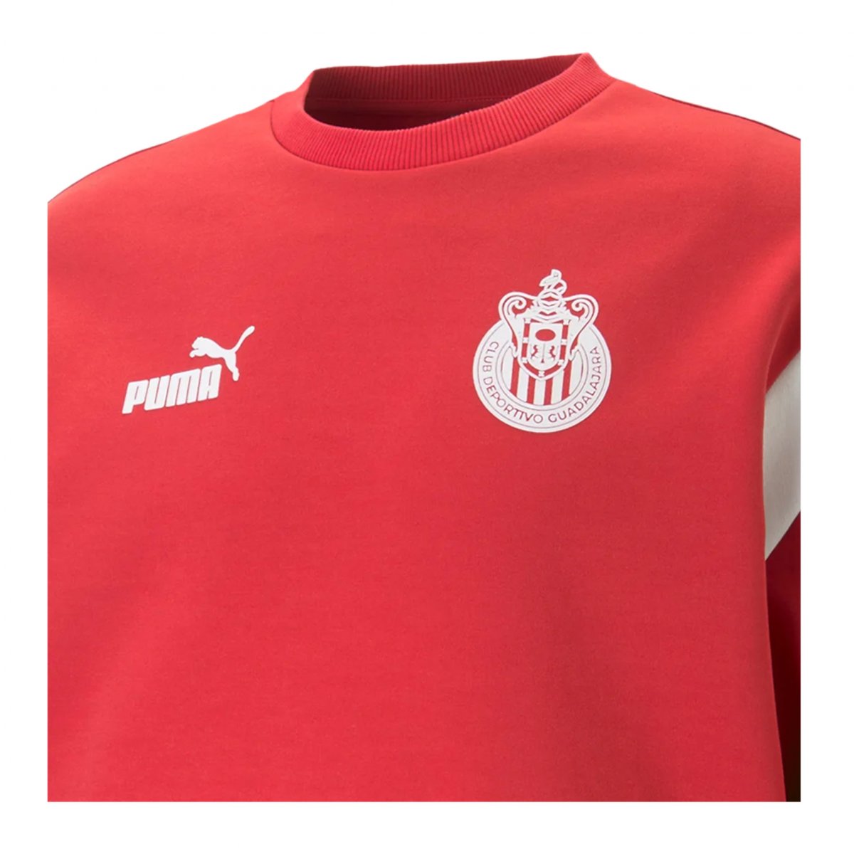 Sudadera Puma Chivas Ftblarchive caballero