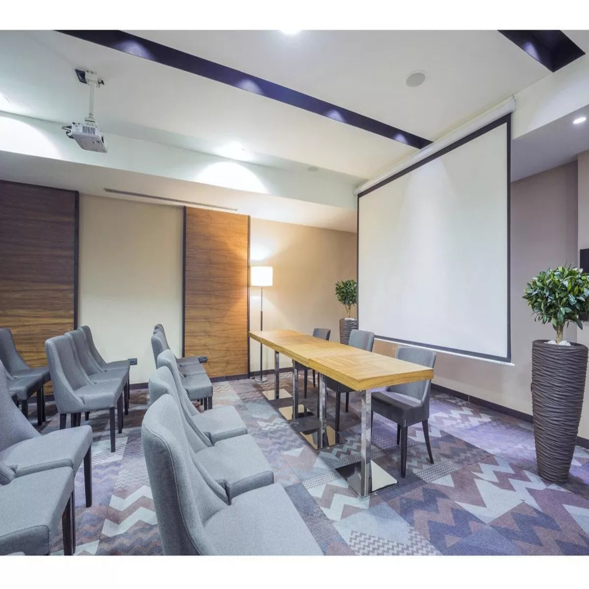 Pantalla Para Proyector Automática De 100 | Pro-020 electrica