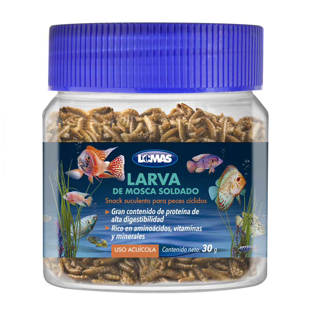 Snack Larva D/ Mosca Soldado P/ Peces Cíclidos 30g Lomas