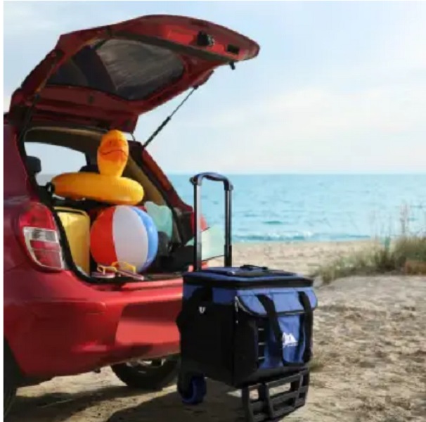 Hielera Plegable Con Ruedas