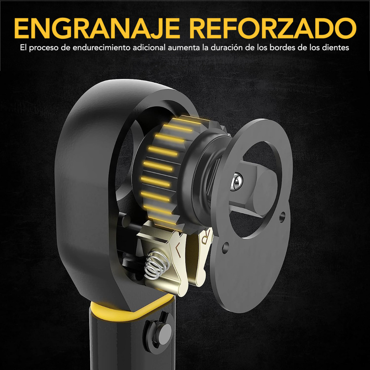 Llave de torque dinamométrica 3/8 24 dientes 10 a 80 Pie Libra