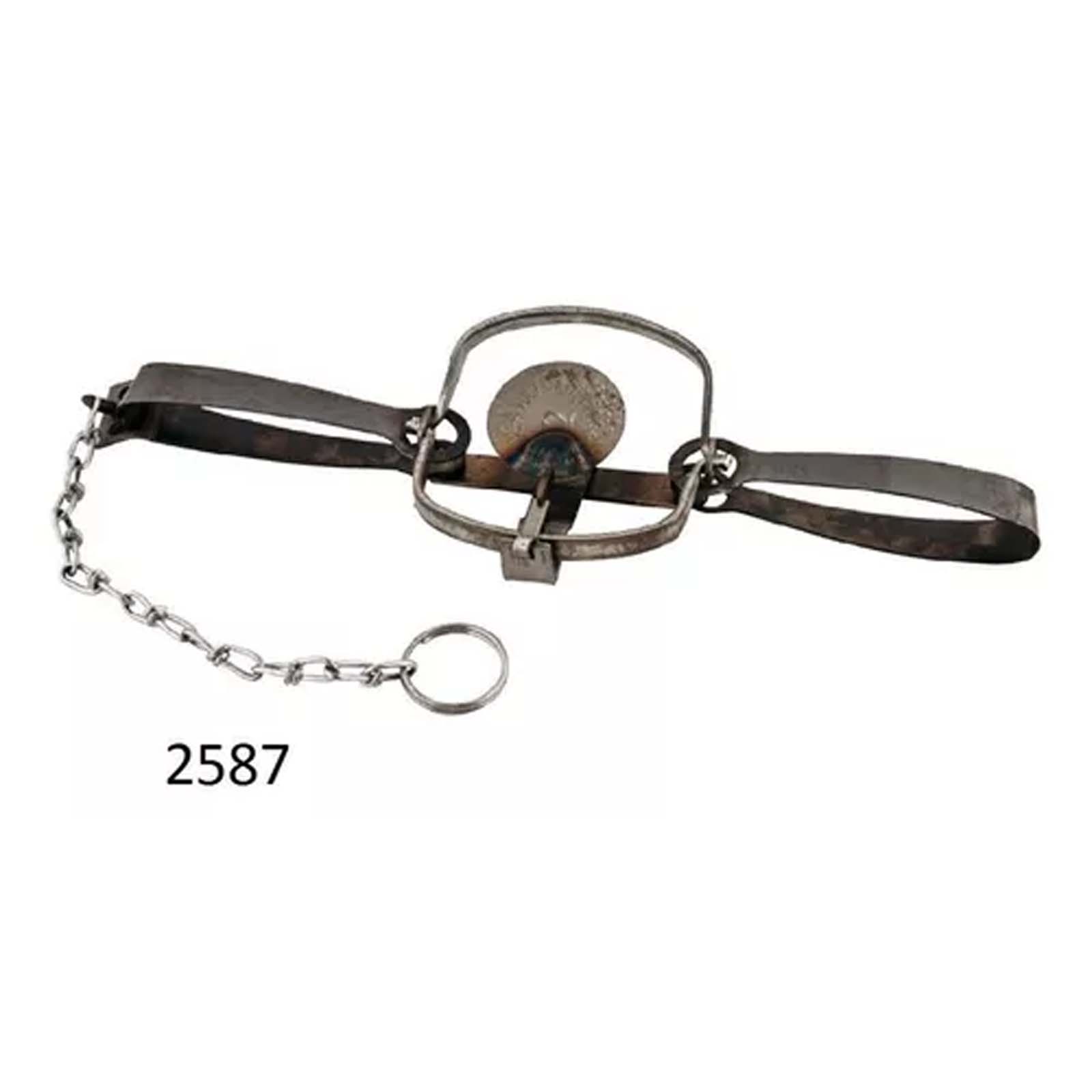 Trampa Para Coyote 2 MueLLes Grande Acero Herramienta Austral