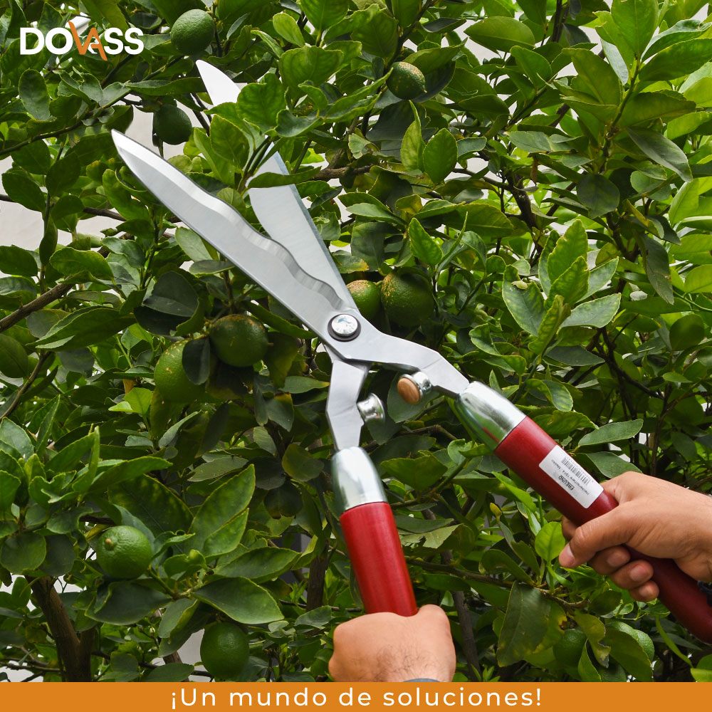 Gimex Tijera Para Podar 2 Manos "Freund" - Acero Forjado Cromo Duro - Hecho en Alemania - Diseñado Para Maximizar El Control Y La Seguridad Durante La Poda, Longitud de la hoja 240 mm